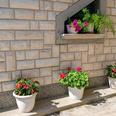 וודיצה Apartman Skroza מראה חיצוני תמונה